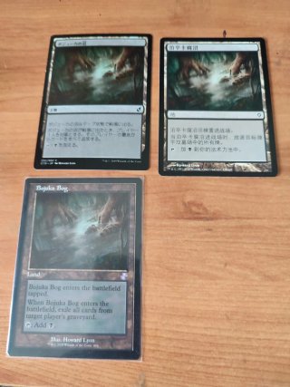 Cartas Magic MTG Bojuka Bog (2x Japonés)