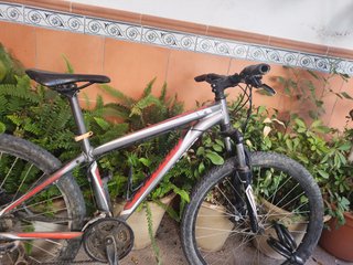 Bicicleta Specialized Montaña/Carretera