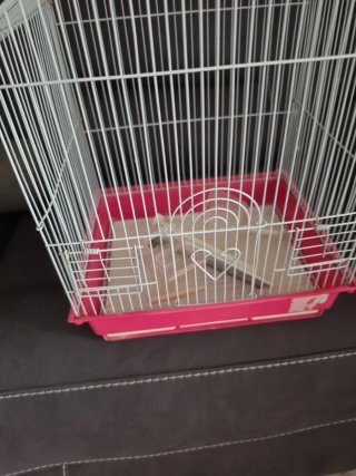 Jaula para pájaros blanca y rosa