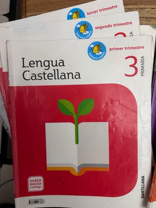 Lengua castellana 3 Primaria