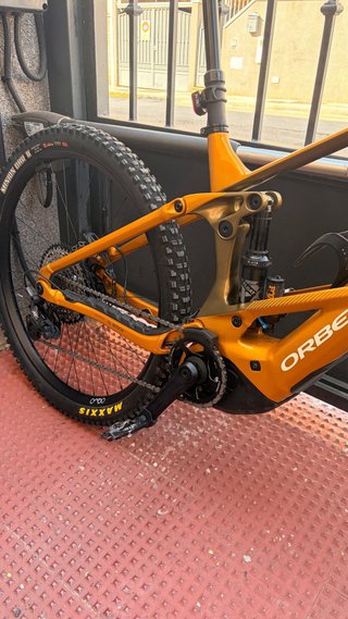 Orbea Wild H10 2026