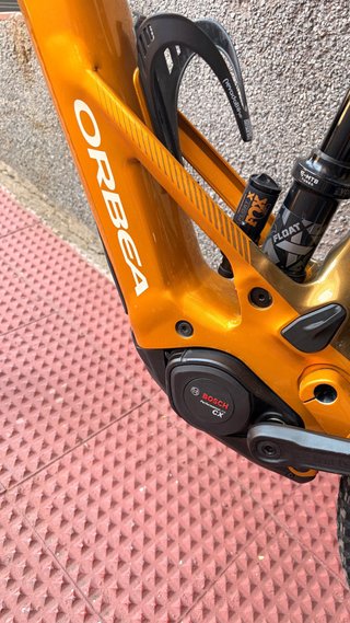 Orbea Wild H10 2026