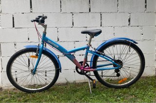 Bicicleta de Paseo