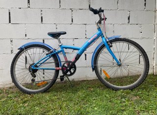 Bicicleta de Paseo