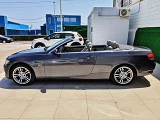 BMW Serie 3 2010