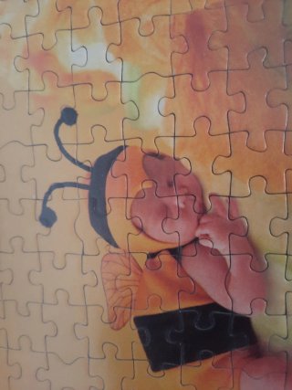 Cuadro puzzle Anne Geddes