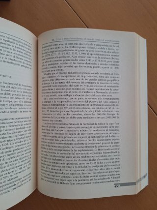 Historia de la Edad Media una síntesis interpre...
