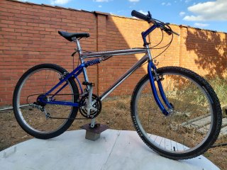 Bicicleta