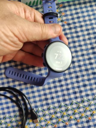 Garmin Forerunner 45s Azul/Morado