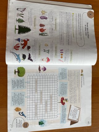 Ciencias da Natureza 4