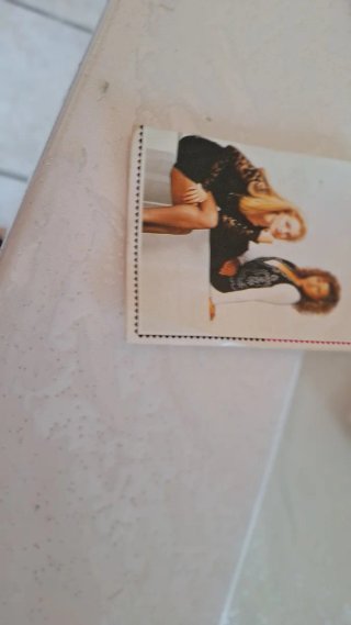 Figurine Beverly Hills 90210 Panini 1991