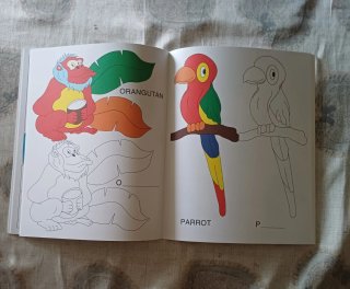 Libri inglese per bambini (2 omaggio perché usati)