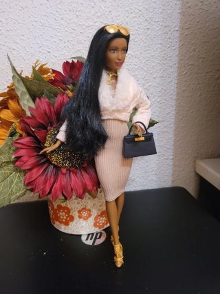 Muñeca barbie con accesorios
