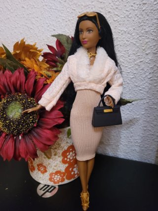 Muñeca barbie con accesorios