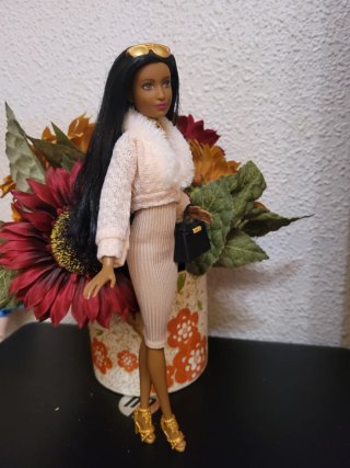 Muñeca barbie con accesorios