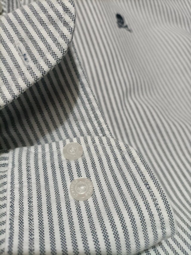 Camisa Scalpers Rayas Talla M