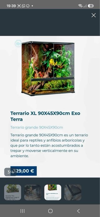 Terrario exo grande