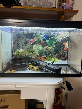 Acuario o terrario 59x30x40 cm