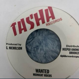 Lote 10 vinilos 7” Reggae, Dancehall & Digital