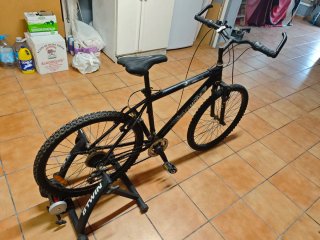 Bicicleta de montaña con rodillo