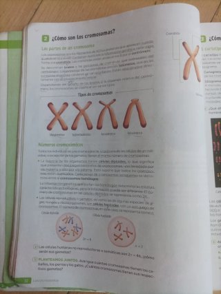 Biología y Geología, 4 Secundaria, Andalucía Re...