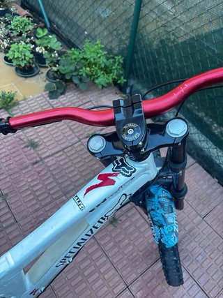 Bicicleta Freeride/Downhill Specialized