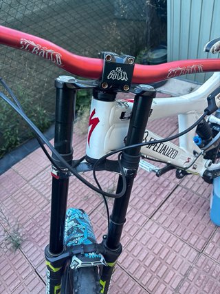 Bicicleta Freeride/Downhill Specialized