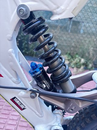 Bicicleta Freeride/Downhill Specialized