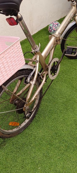 Bicicleta Plegable Dorada
