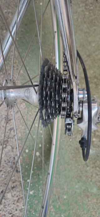Bicicleta Vintage Razesa Verde