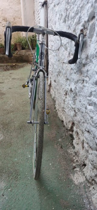 Bicicleta Vintage Razesa Verde