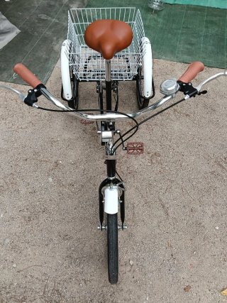 Bicicleta Triciclo con Cesta