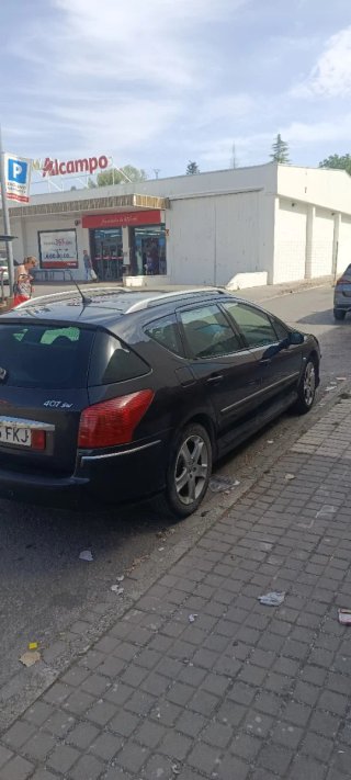 Peugeot 407 2007