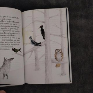 Libro infantil ilustrado