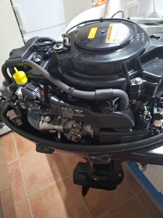 Motor Suzuki 20cv fueraborda