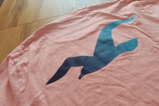 Camiseta Hollister manga larga rosa
