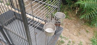 Jaula grande para loros y guacamayos