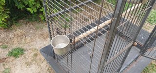 Jaula grande para loros y guacamayos