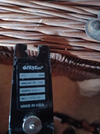 Arco profesional Hoyt Avalon Plus