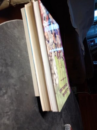 Lote 4 Libros Variados (Ensayos, Infantil, Clásico