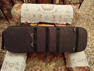 Funda para violín