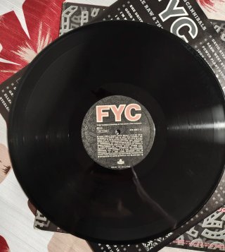 Fine Young Cannibals - Lotto 2 LP