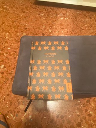 Libro iliada de homero de bolsillo en tapa dura