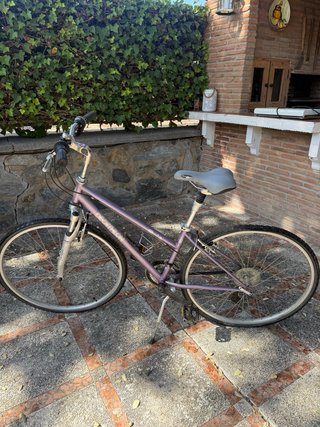 Bicicleta de mujer morada