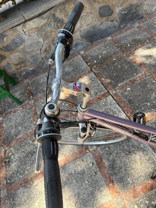 Bicicleta de mujer morada