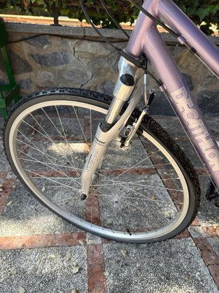 Bicicleta de mujer morada