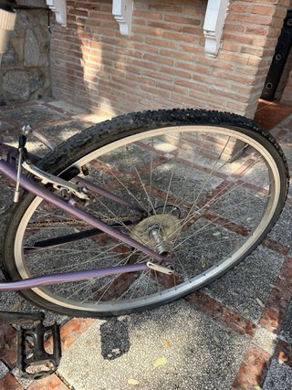 Bicicleta de mujer morada