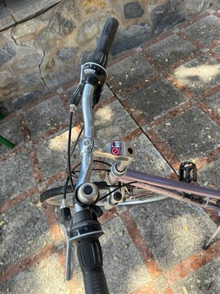 Bicicleta de mujer morada