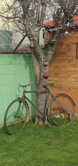 Bicicleta Clásica de Varilla