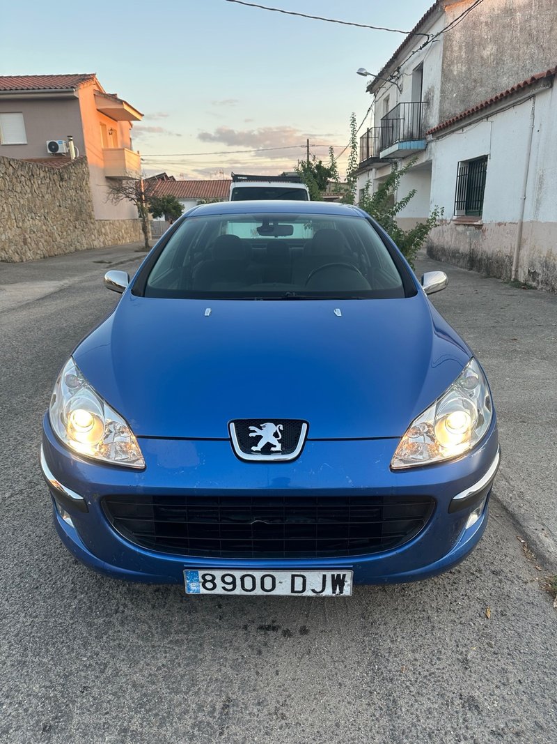 Peugeot 407 Confort ST 2005 - foto 1